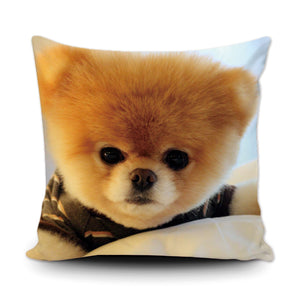 Pomeranian Puppy Print Pillowcase - Nice & Cool