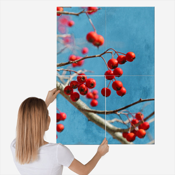 Bright Red Crabapples Hang From A Tree With Blue Sky An ...